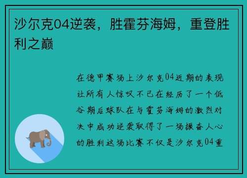 沙尔克04逆袭，胜霍芬海姆，重登胜利之巅